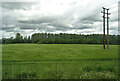 Crop field and woodland near the River Thames in OX14 2DN