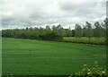 Crop field and woodland in OX14 3BL
