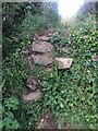Stone Stile SW7551a in TR4 9LZ