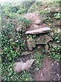 Stone Stile SW7551c in TR4 9LZ