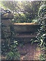 Stone Stile SW7551d in TR4 9LZ