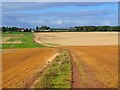 Footpath between fields of stubble in S25 5JD
