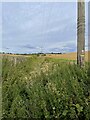Power lines over an empty drainage ditch in SG2 7DB
