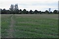 Footpath to the recreation ground in Benington
