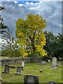 Early Autumn colour in Thurcroft Cemetery in S66 9BE