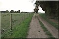 Chain Walk passing a paddock in SG2 7DD