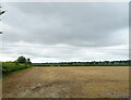 Parched field off the B480 in OX44 9DW