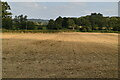 Bare field in Tandridge