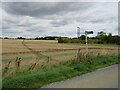 Public footpath near Buntingford in SG9 0DP