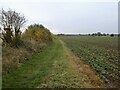 Bridleway south of Willingham Road in Fillingham