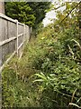 Overgrown footpath in BL5 1AD