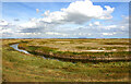 Walton Hall Marshes, Walton-on-the-Naze in CO14 8LQ