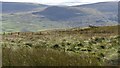 Fence and view of the Campsie Fells in G63 0XQ