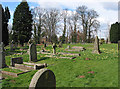 The churchyard at daffodil time in GL18 1QY