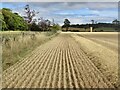 Newly harvested field, Camptoun in EH39 5BA
