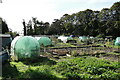 Allotments in Kirkley in NR33 7JH