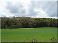 Crop field towards Juniper Bank in Badger Farm & Oliver's Battery Ward