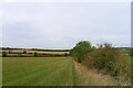 Footpath from Dingley towards Market Harborough in LE16 7QE