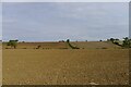 A recently harrowed field in LE16 8LR