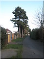 Path at northern edge of Drayton Park in PO3 5NS