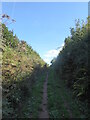 Bridleway between high banks, leading to Coleridge Cross in TQ7 2SJ