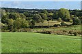 Fields above the Medway near Tutsham Hall in ME15 0ND