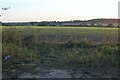 Fields by Bardwell Road, Fakenham Magna in IP24 2QX
