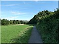 Taff Trail by flood plain of River Taff in CF37 3BN