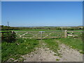 Field entrance off the A3057 in SO20 6JJ