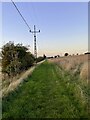 Power lines on the footpath to Dane End in SG12 0LN
