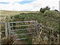 Path over Wormit Hill in DD6 8PH