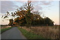 Heath Road between Sapiston and Coney Weston in IP31 1RY