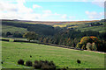 Valley of Bolt's Burn from Bale Hill in DH8 9UW