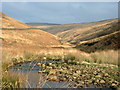 Crowden Little Brook in Tintwistle