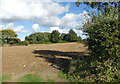 Indistinct footpath across harvested field in NR12 7JU