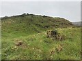 Ramparts of the old Iron Age fort at Great Castle Head in SA62 3RL