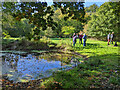 Walkers pause by a pond in RH13 6LJ