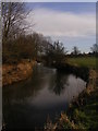 River Waveney near Earsham in NR35 2SU