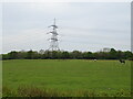 Grazing and pylon off Newlands Road in SO45 1WE