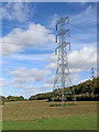 Shropshire farmland and woodland with pylon near Beckbury in WV6 7JS