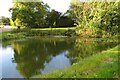 Pond at Rickneys in SG12 0HB
