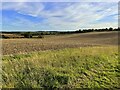 Farmland near Chapmore End in SG12 0EY
