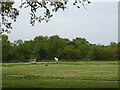 Grazing and woodland near Whitefield Farm in SO45 1XJ