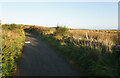 Track leading to Burnbrae Moss in AB21 9WF
