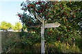 Fingerpost near Burnbrae Moss in AB21 9WF