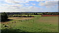 Shropshire farmland east of Higford  in WV6 7JS