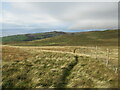 Path and new deer fencing near Cauld Rocks in KA30 8HD
