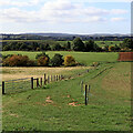 Shropshire farmland landscape near Higford in WV6 7JS