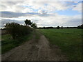 Farm track, Barnby in the Willows in Barnby in the Willows