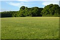 Pasture, Binsted in GU10 4LR